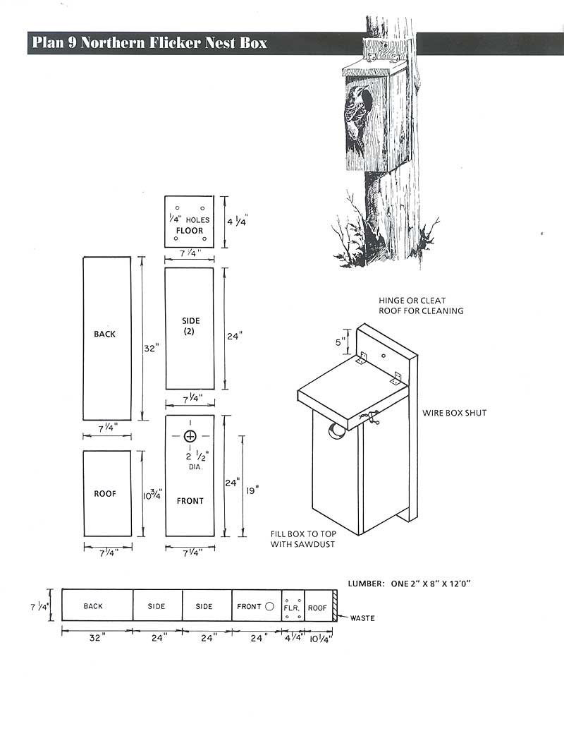 Printable Screech Owl Box Plans