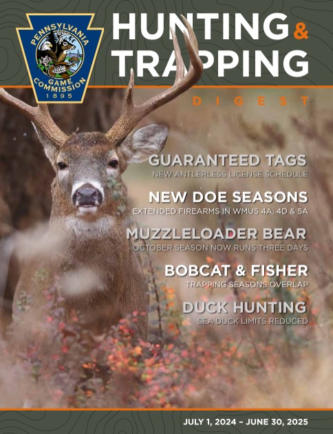 2024-25 digest cover with male deer