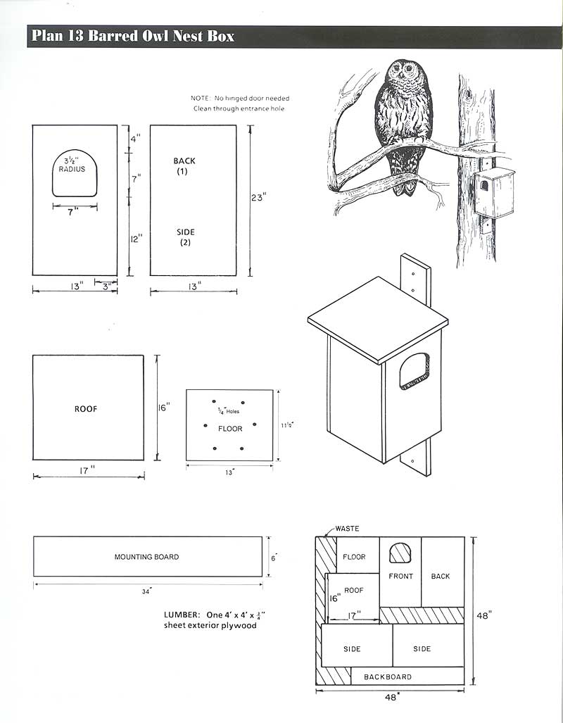 Elegant 44 Owl House Plans