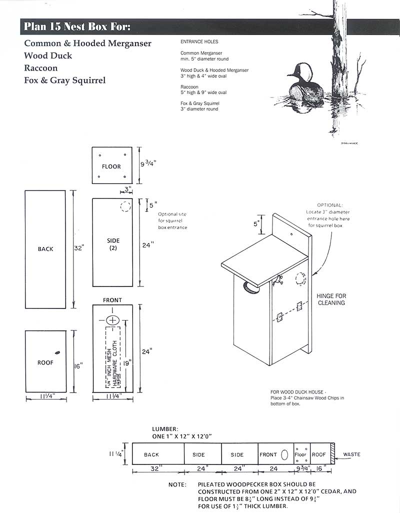 Southern Flying Squirrel House Plans